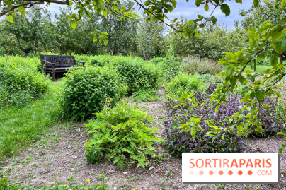 Potager-Fruitier de la Roche Guyon - nos photos - image00017