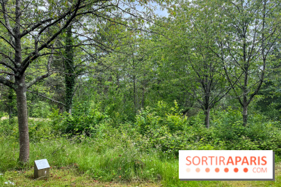 Arboretum de la Roche-Guyon - nos photos - image00015