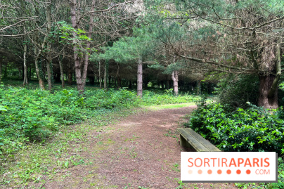 Arboretum de la Roche-Guyon - nos photos - image00016