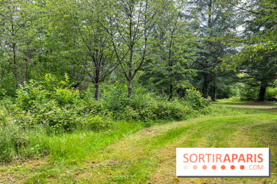 Arboretum de la Roche-Guyon - nos photos - image00012