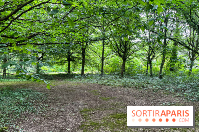 Arboretum de la Roche-Guyon - nos photos - image00013