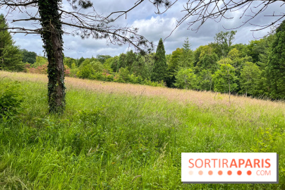 Arboretum de la Roche-Guyon - nos photos - image00010