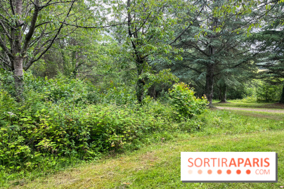 Arboretum de la Roche-Guyon - nos photos - image00011