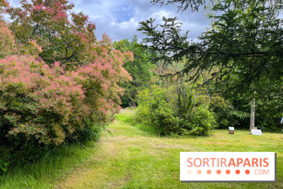 Arboretum de la Roche-Guyon - nos photos - image00007