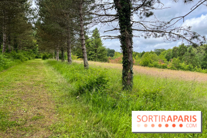 Arboretum de la Roche-Guyon - nos photos - image00008