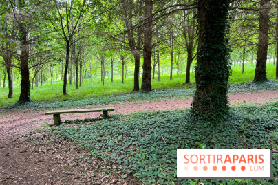 Arboretum de la Roche-Guyon - nos photos - image00003