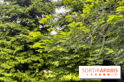 Arboretum de la Roche-Guyon - nos photos