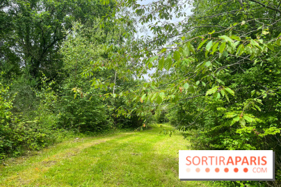 Arboretum de la Roche-Guyon - nos photos - image00002