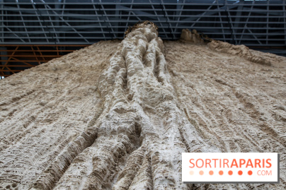 Ligne 14 : révélation de la gare Hôpital Bicêtre - IMG 5312