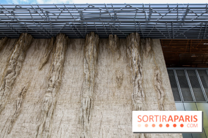 Ligne 14 : révélation de la gare Hôpital Bicêtre - IMG 5316