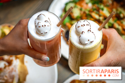 Brunch indien à Paris par Baranaan et Pingwoo -  lassis rose et mangue