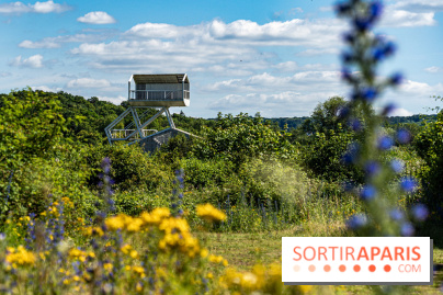 Le Parc du peuple de l'herbe dans les Yvelines - Étang de Galiotte - Carrières-sous-Poissy -  A7C7472