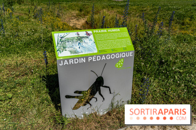 Le Parc du peuple de l'herbe dans les Yvelines - Étang de Galiotte - Carrières-sous-Poissy