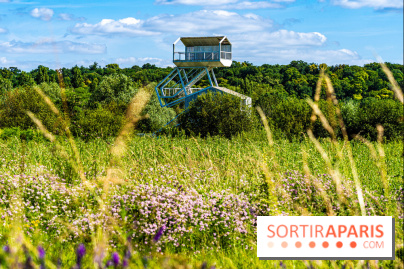 Le Parc du peuple de l'herbe dans les Yvelines - Étang de Galiotte - Carrières-sous-Poissy
