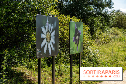 Le Parc du peuple de l'herbe dans les Yvelines - Étang de Galiotte - Carrières-sous-Poissy