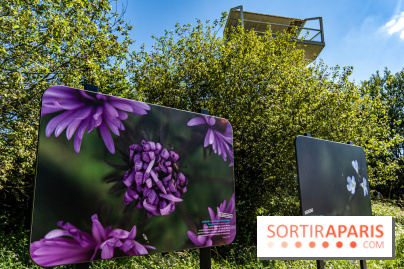Le Parc du peuple de l'herbe dans les Yvelines - Étang de Galiotte - Carrières-sous-Poissy -  A7C7493