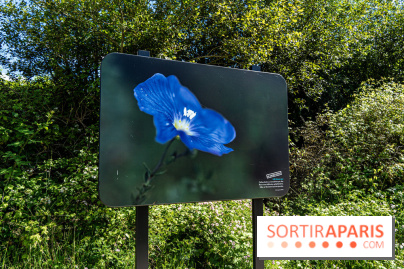 Le Parc du peuple de l'herbe dans les Yvelines - Étang de Galiotte - Carrières-sous-Poissy
