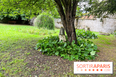 Le Jardin du Yoga à la Roche-Guyon - nos photos - image00015