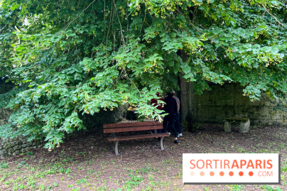 Le Jardin du Yoga à la Roche-Guyon - nos photos - image00005