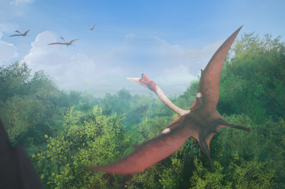 Campagne #33483 - Mondes Disparus In game C rétacé © Excurio MNHN