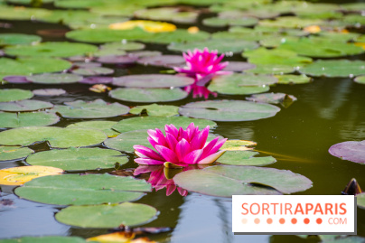 Hellfest 2024 - jeudi 27 juin, nos photos - IMGP3307