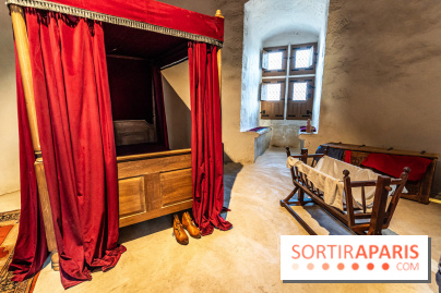 Lumières de Blandy : l'héritage des vicomtes, le spectacle sons et lumières -  A7C7959