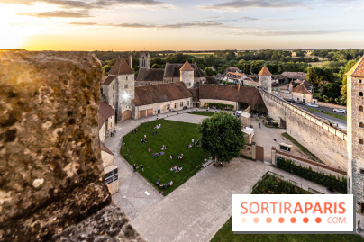 Lumières de Blandy : l'héritage des vicomtes, le spectacle sons et lumières -  A7C7972