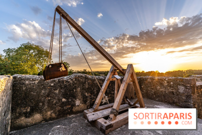 Lumières de Blandy : l'héritage des vicomtes, le spectacle sons et lumières -  A7C7973