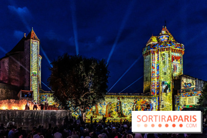 Lumières de Blandy : l'héritage des vicomtes, le spectacle sons et lumières -  acteurs