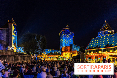 Lumières de Blandy : l'héritage des vicomtes, le spectacle sons et lumières -  A7C8121