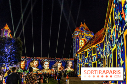 Lumières de Blandy : l'héritage des vicomtes, le spectacle sons et lumières -  A7C8174