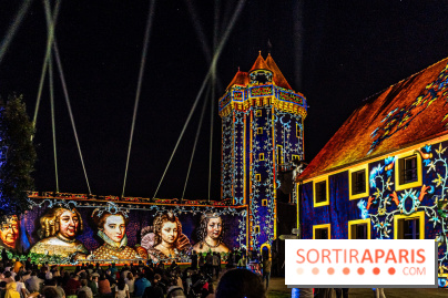 Lumières de Blandy : l'héritage des vicomtes, le spectacle sons et lumières -  A7C8178