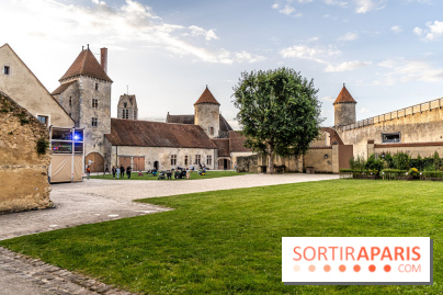 Le Château de Blandy-les-Tours en Seine-et-Marne (77), nos photos -  A7C7953