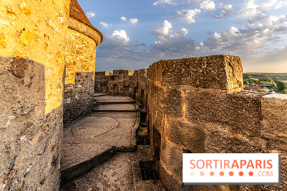 Le Château de Blandy-les-Tours en Seine-et-Marne (77), nos photos -  A7C7965