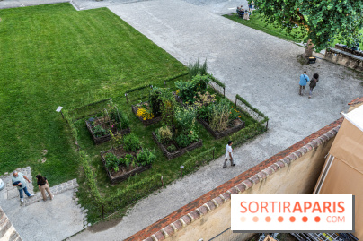 Le Château de Blandy-les-Tours en Seine-et-Marne (77), nos photos -  A7C7985