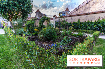 Le Château de Blandy-les-Tours en Seine-et-Marne (77), nos photos -  A7C7993