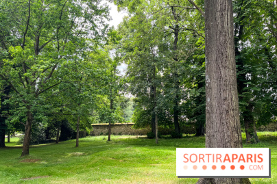 Domaine de Chamarande - nos photos - image00034