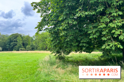 Domaine de Chamarande - nos photos - image00027