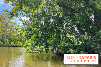 Domaine de Chamarande - nos photos - image00007