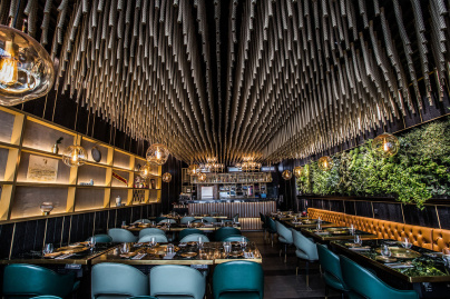 Campagne #33556 - AZ4I8995