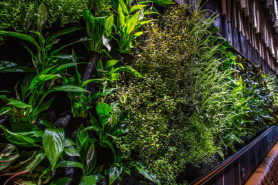 Campagne #33556 - AZ4I9018 2