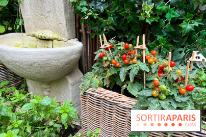 Le Potager, Roch Hotel & Spa - Potager