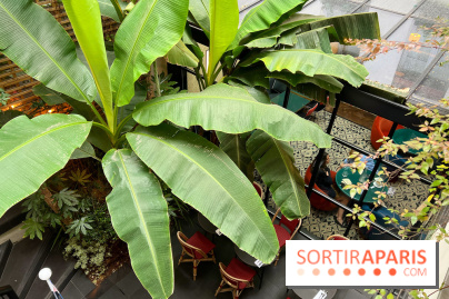 Le Potager, Roch Hotel & Spa - Terrasse patio verdoyant