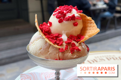 Glacier des Prés - Glaces et sorbets