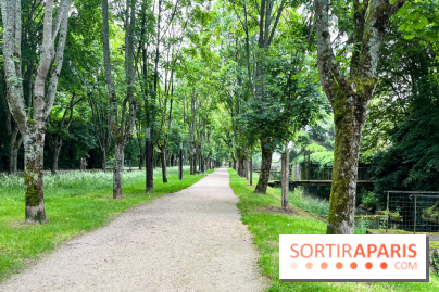 Crécy-la-Chappelle - nos photos - image00094