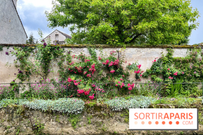 Crécy-la-Chappelle - nos photos - image00056