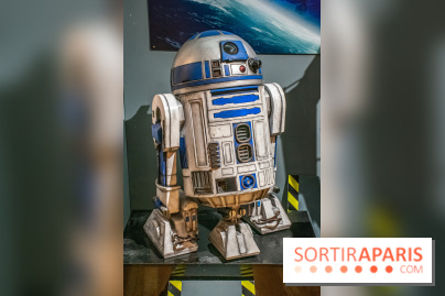 Star Wars : Fans of the Galaxy, l'expo à découvrir dans une galaxie lointaine, très lointaine - DSC 0852