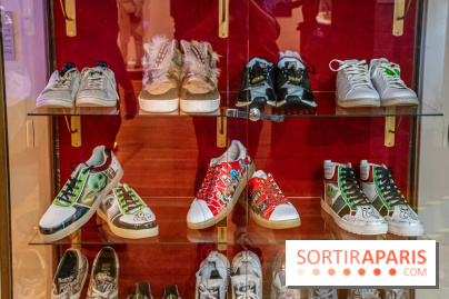 Star Wars : Fans of the Galaxy, l'expo à découvrir dans une galaxie lointaine, très lointaine - DSC 0863