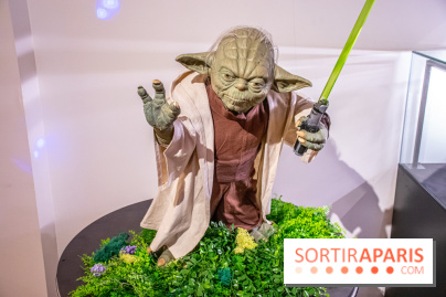 Star Wars : Fans of the Galaxy, l'expo à découvrir dans une galaxie lointaine, très lointaine - DSC 0871