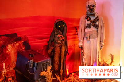 Star Wars : Fans of the Galaxy, l'expo à découvrir dans une galaxie lointaine, très lointaine - DSC 0899